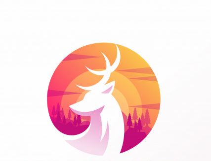 קורס גרפי לימודי ערב